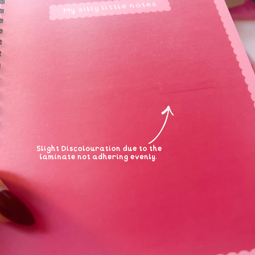 My Silly Little Notes Notebook