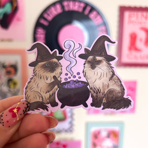 Two ragdoll cats wearing witch hats with a cauldron on a pink background.